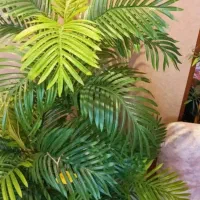 گل مصنوعی|گل مصنوعی|گرگان, |دیوار