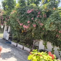 اجاره روزانه ویلا ۹۰ متری ۲ خواب نوشهر