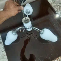 لوستر سه شاخه|لوستر و چراغ آویز|تهران, هفده شهریور|دیوار