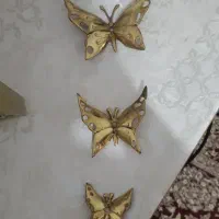 پروانه ی برنزی