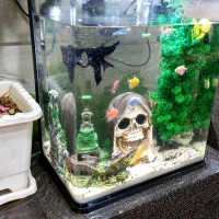 آکواریوم رو میزی شیشه خم|ماهی|محمدبار, |دیوار