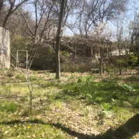 فروش باغ/بنا کلنگی