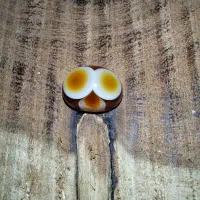 تعدادی نگین انگشتر کلکسیونی