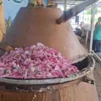 گلابگیری،انواع گلاب وعرقیات