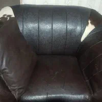 مبل چرم نیاز به روکش