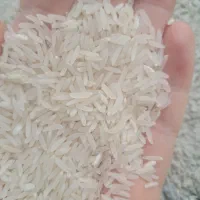 برنج طارم امساله|خوردنی و آشامیدنی|کردکوی, |دیوار