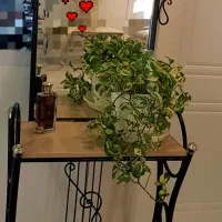 آیینه  اتاق  کودک ونوجوان  فلزی