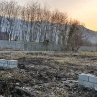 زمین بلوار سرولات تختی