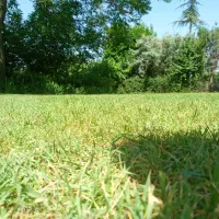 ویلا.فروشی.۱۴۰۰متر.دهکده|فروش خانه و ویلا|فردیس, دهکده|دیوار