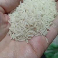 برنج نیم دانه ودرشت هاشمی آستانه اعلاو هاشمی معطر|خوردنی و آشامیدنی|الوند, |دیوار