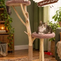 اسکرچر درختی گربه