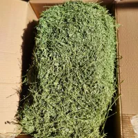 یونجه/علوفه