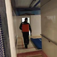 سمپاشی کنه ساس سوسک تضمینی|خدمات نظافت|مشهد, کوی سیدی|دیوار