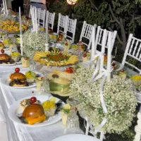 فینگرفود،دسر،سالاد،دورهمی،تولد
