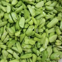 باقالی تازه روز