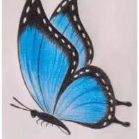 پرستاری از سالمند ، معلول و یا کم توان ذهنی آقا