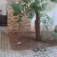 ویلایی ۱۰۰متری ، پشت مسجد خاتم|فروش خانه و ویلا|ابهر, |دیوار