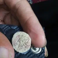 مهر اصل