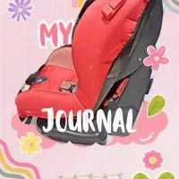 صندلی ماشین کودک