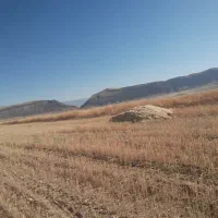 فروش ۱۴ انبار کاه گندم