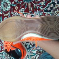 کفش سالنی|تجهیزات ورزشی|بم, |دیوار