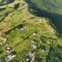 زمین690متری-ویو-ابدی-قابلیت-ساخت-توتکابن-ویشان