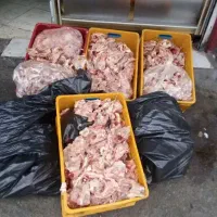اسکلت مرغ خوراک سگ گربه