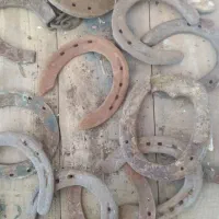نعل اسب کارکره