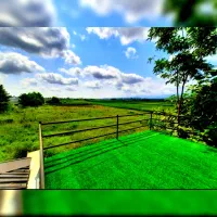 زمین جنگلی خوش قواره ۱۰۰متری*سندنور*اقساط۱۲ماه