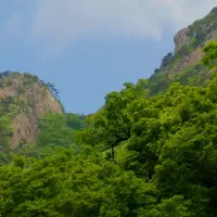 اخذ سند مالکیت