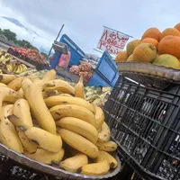 اجاره یا مشارکت جایگاه فروش میوه|اجارهٔ مغازه و غرفه|کلاله, |دیوار