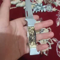 جاقو|کلکسیون و سرگرمی|فلاورجان, |دیوار