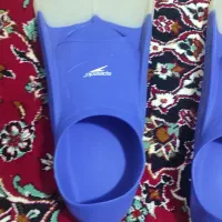 پافین شنا. شیپور شوریکن