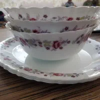 ظروف پارس اوپال