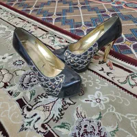 کفش مجلسی