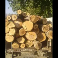 خرید چوب|خدمات پیشه و مهارت|کیار, |دیوار