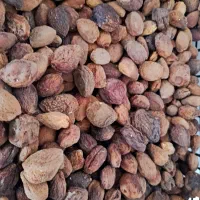 بادام نیمه کاغذی و سنگی|خوردنی و آشامیدنی|ماکو, |دیوار