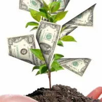 سرمایه گذار نیازمندیم