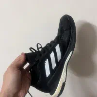 کفش اورجینال والیبال آدیداس کریزی فلایت|کیف، کفش، کمربند|اصفهان, پروین|دیوار