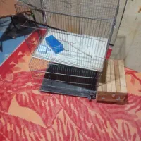 قفس پرنده