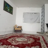 آپارتمان-طبقه-همکف