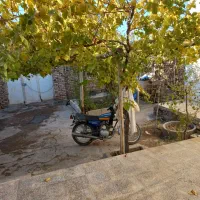 موتور سیکلتم