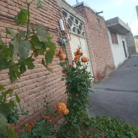 خانه ویلایی ۴۰۰ متری