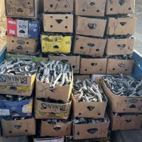 پخش و فروش زغال پسته|عمده‌فروشی|رشت, پیرکلاچای|دیوار