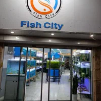 انواع آکواریوم در سایز های مختلف