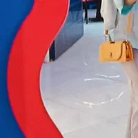 کیف زنانه گمشده