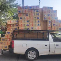 سپر کوئیک 206 پرشیا 131 132|قطعات یدکی و لوازم جانبی|بومهن, |دیوار