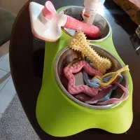 ظرف غذا برس سگ نو
