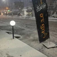 نمایندگی زعفران گلبان در استان