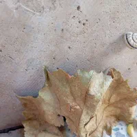 راهکار برای مسئله حقوقی